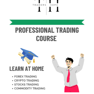 Learn At Home, Forex Traders Hope, Professional Trading Course, Crypto Trading Learn TradersHope, TradersHope, Traders Hope, Forex Education, Free Forex Signals, Free Forex Analysis, Free Crypto Signals, Free Education, Learn To Trade, TradersHope.com,